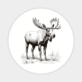 Vintage Moose Wildlife Magnet